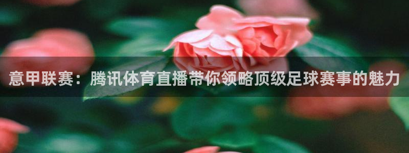 833直播足球比赛视频：意甲联赛：腾讯体育直播带你领略顶级足球赛事的魅力