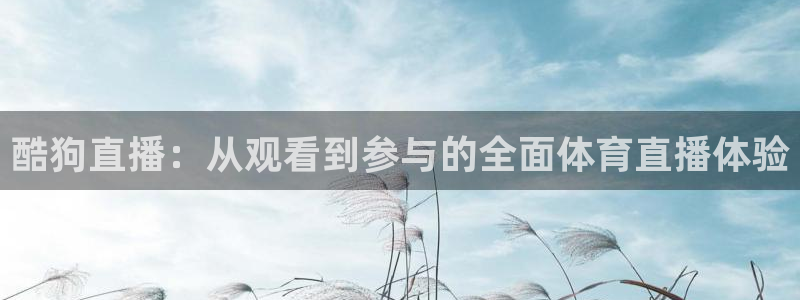 833足球直播：酷狗直播：从观看到参与的全面体育直播体验