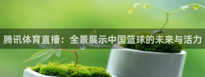 833篮球体育免费直播平台：腾讯体育直播：全景展示中国篮球的未来与活力