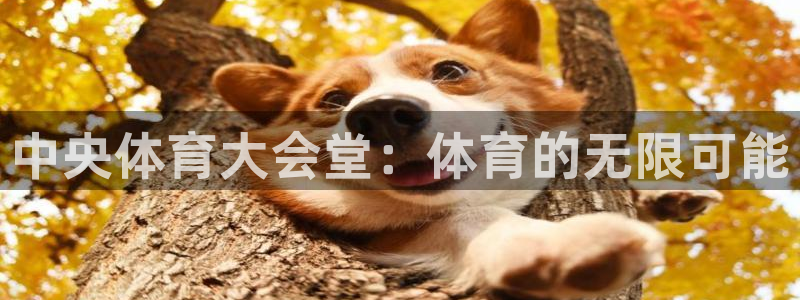 足球比赛直播间833：中央体育大会堂：体育的无限可能