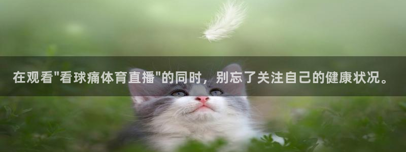 833赛事直播：在观看\